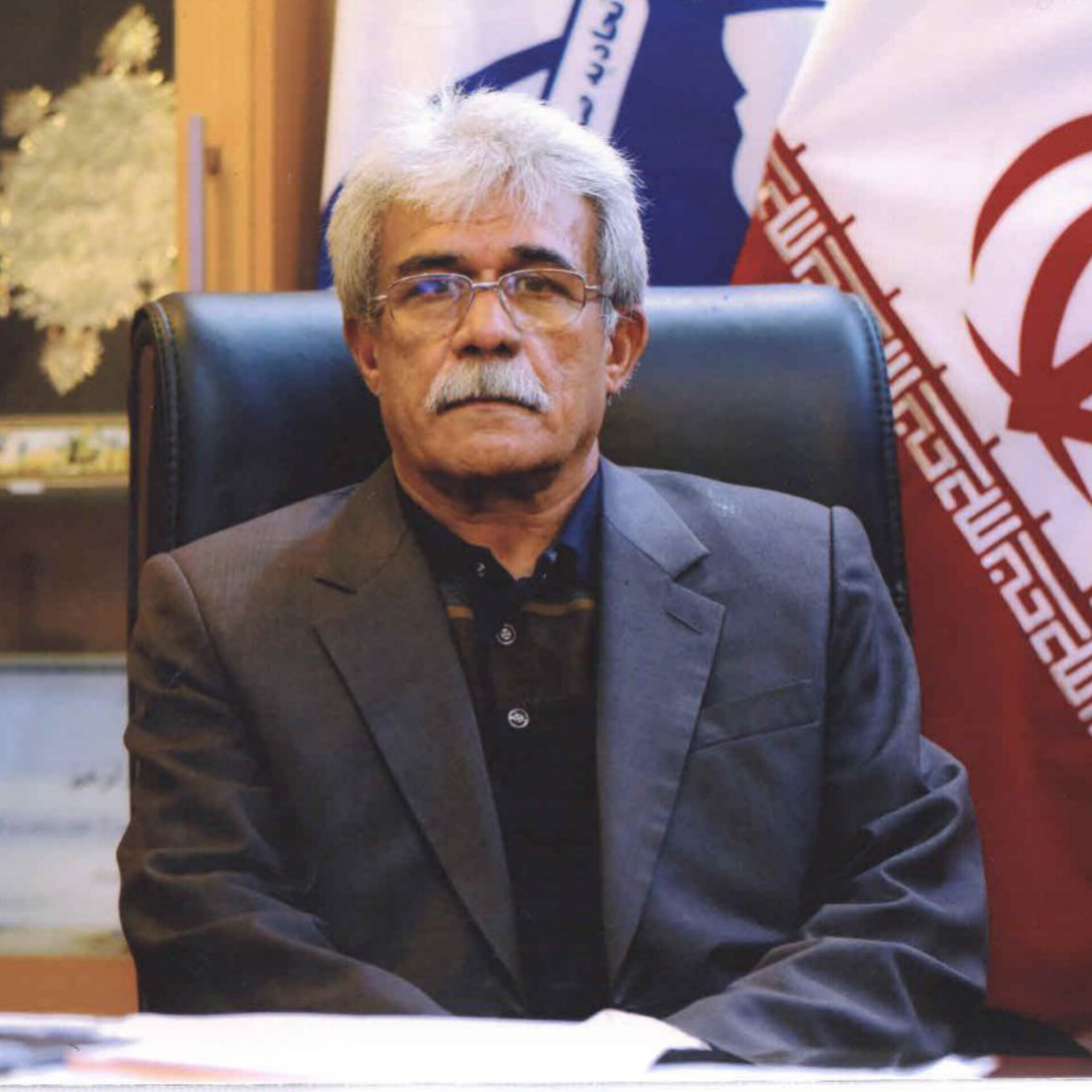 سید عباس ملک‌نیا